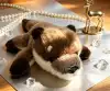 Very precious, soft and fragrant, sea otter magnetic refrigerator sticker, plush doll, toy table companion doll, cute and fun, ideal for gifting, magnetic plush doll, switch decoration, home cute wall-mounted style details Picture